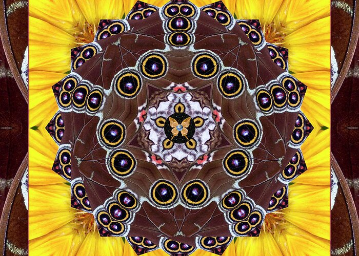 Yoga Art Greeting Card featuring the photograph Eyes of Earth by Bell And Todd