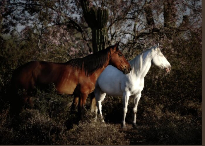 Two Horses Greeting Card featuring the photograph Facing the Fading Day by Debra Sabeck