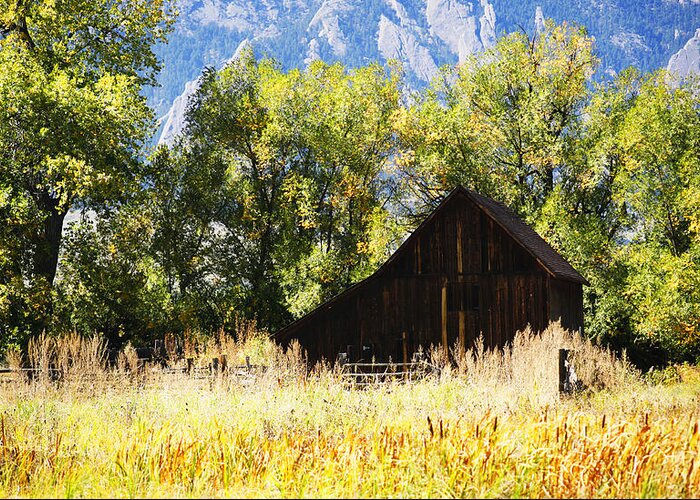 Fall Greeting Card featuring the photograph Old Barn Nestled by Marilyn Hunt