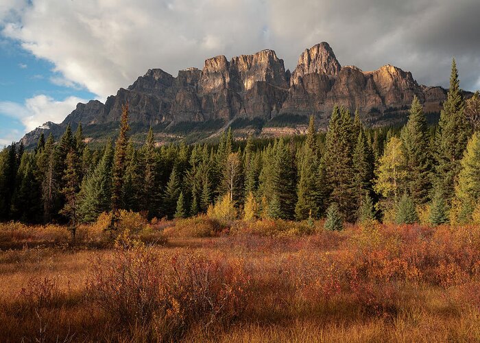 Castle Mountain Greeting Card featuring the photograph Fall at Castle Mountain by Emily Dickey