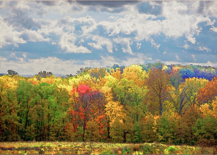 Health Care Greeting Card featuring the photograph Fall at Shaw by David Coblitz