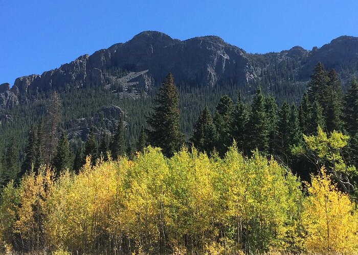 Landscape Greeting Card featuring the photograph Fall at Twin Sisters by Kristen Anna