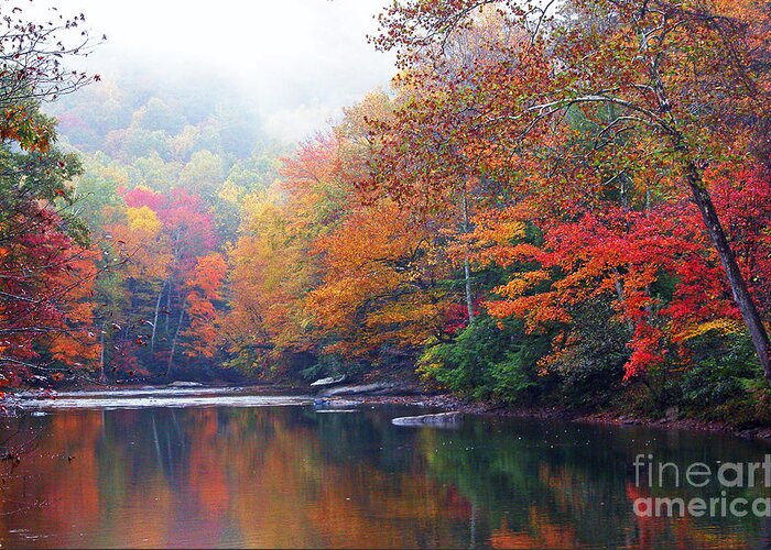 Williams River Greeting Card featuring the photograph Fall Color Williams River Mirror Image by Thomas R Fletcher