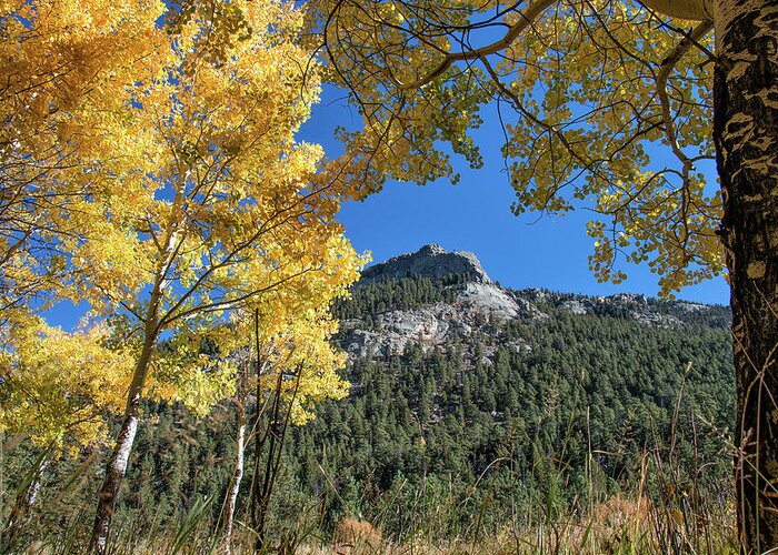 Fall Colors Greeting Card featuring the photograph Fall Colors Frame Bighorn Mountain by Tony Hake
