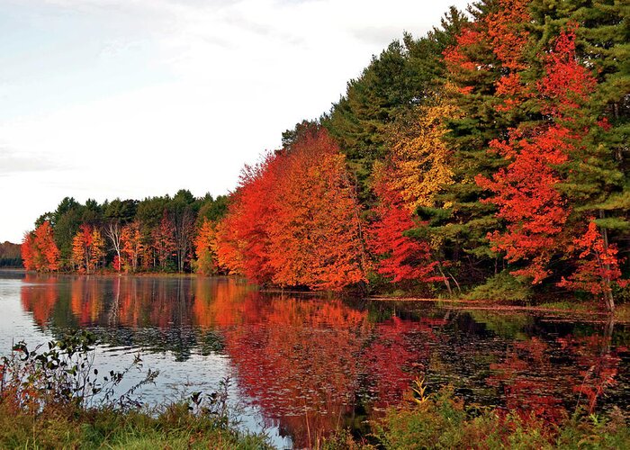 Fall Greeting Card featuring the photograph Fall colors in Madbury NH by Nancy Landry