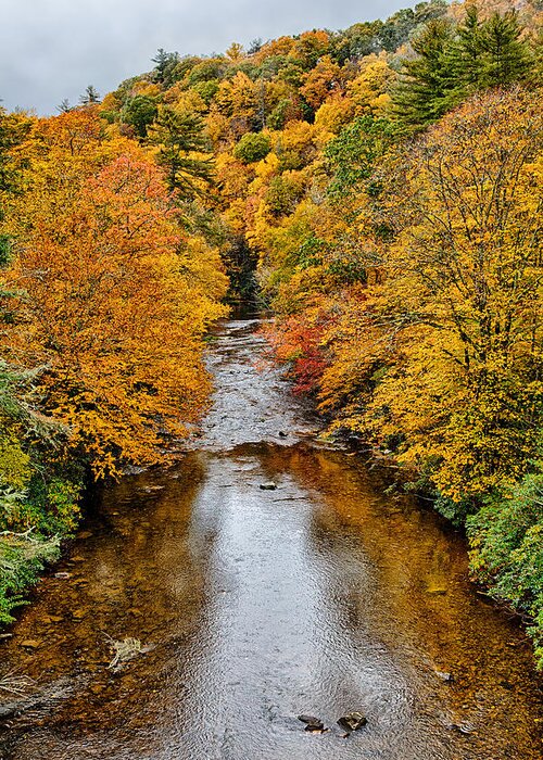 Mountains Greeting Card featuring the photograph Fall Colors Over Linville River by Dan Carmichael