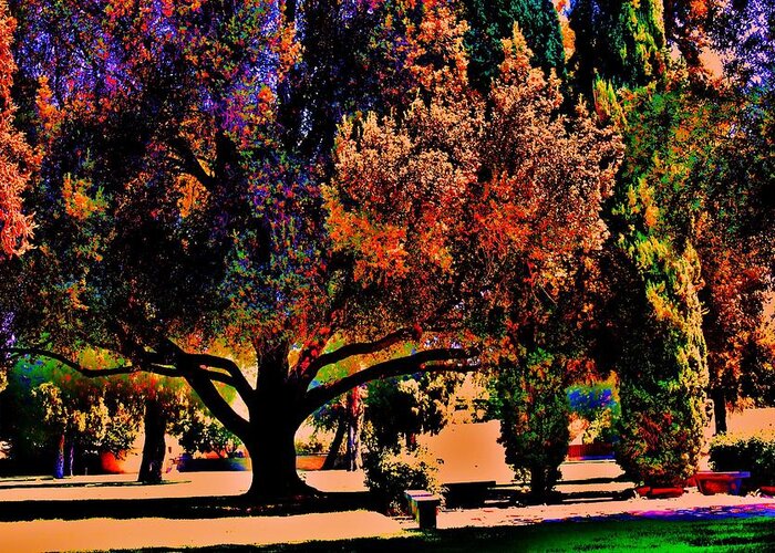 Olive Tree Greeting Card featuring the photograph Fall Festival by Helen Carson
