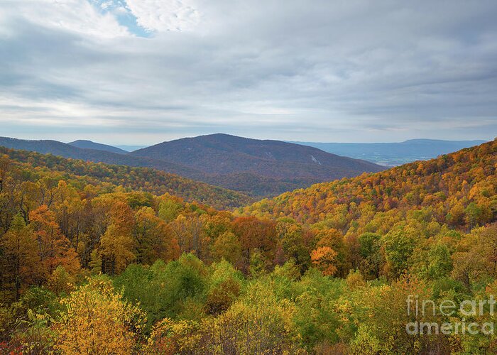 Shenandoah National Park Greeting Card featuring the photograph Fall Foliage In The Mountains by Michael Ver Sprill