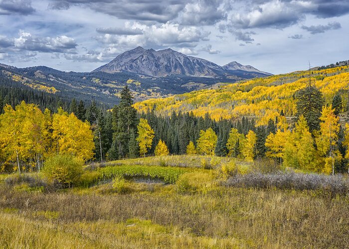 Colorado Greeting Card featuring the photograph Fall in the Rockies Colorado DSC07164-5 by Greg Kluempers