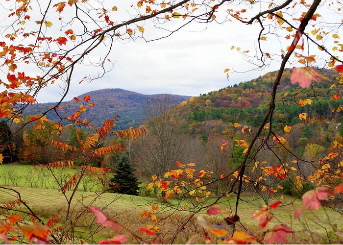 Fall Greeting Card featuring the photograph Fall in Vermont by Lois Lepisto
