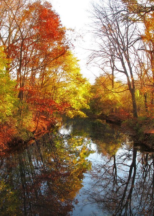 Landscape Greeting Card featuring the photograph Fall Reflected by Jessica Jenney