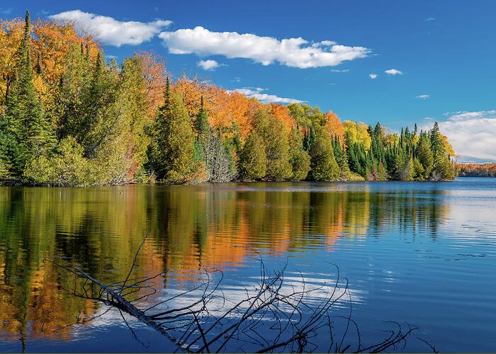 Fall Greeting Card featuring the photograph Fall Reflections by Gary McCormick