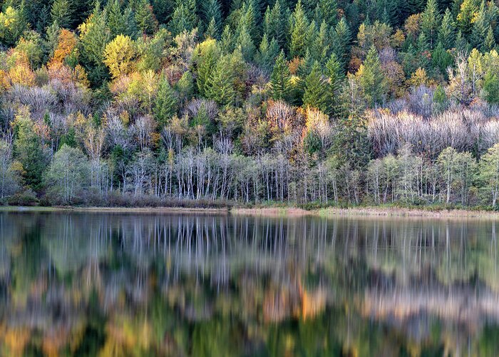 Autumn Greeting Card featuring the photograph Fall Reflections on Deer Lake by Michael Russell
