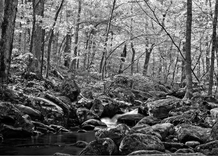 Waterfall Greeting Card featuring the photograph Falls Brook Rush Black and White by Allan Van Gasbeck