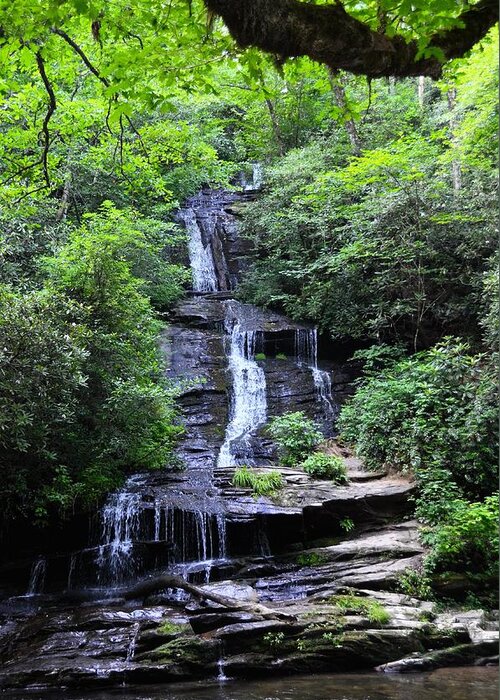  Greeting Card featuring the photograph Falls near Bryson City by Chuck Brown