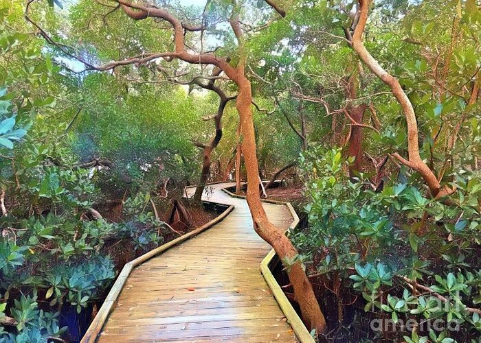Landscape Greeting Card featuring the photograph Fantasy Boardwalk Through Mangroves by Carol Riddle