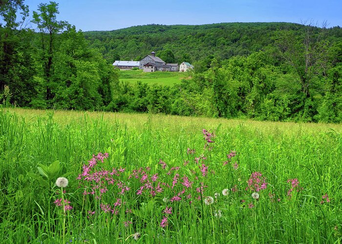 Farm Along The Ma At With Wildflowers Greeting Card featuring the photograph Farm Along the MA AT with Wildflowers by Raymond Salani III