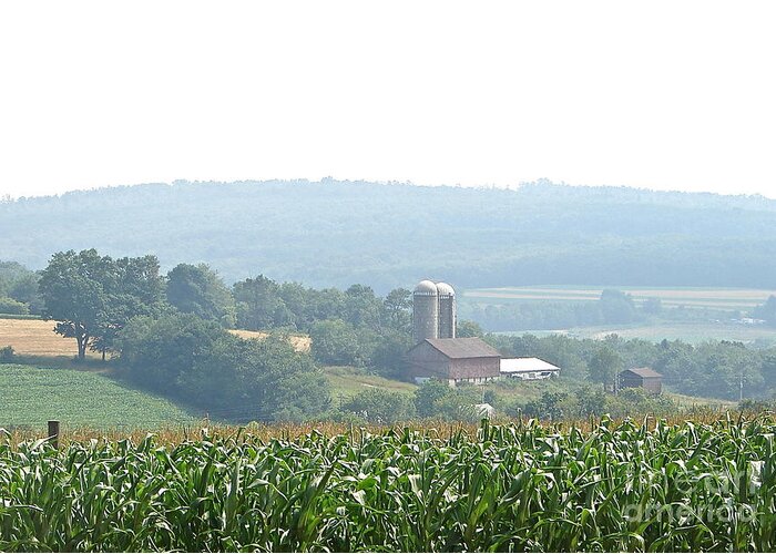 Misty Farm Scene Greeting Card featuring the photograph Farm Country by Penny Neimiller