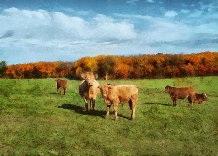 Fields Greeting Card featuring the digital art Farm Field and Brown Cows by JGracey Stinson