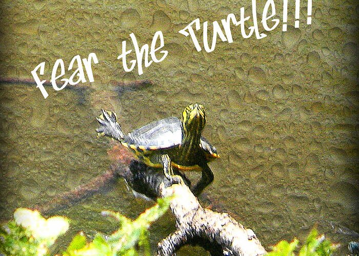 Turtle Greeting Card featuring the photograph Fear The Turtle by Leslie Revels