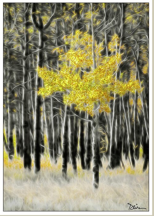 Aspen Greeting Card featuring the photograph Feathered Aspen by Peggy Dietz