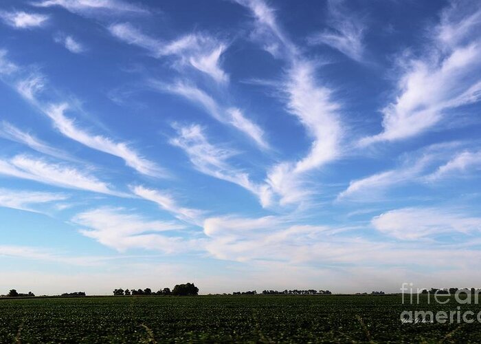 Clouds Greeting Card featuring the photograph Feathers in Blue Sky by Yumi Johnson