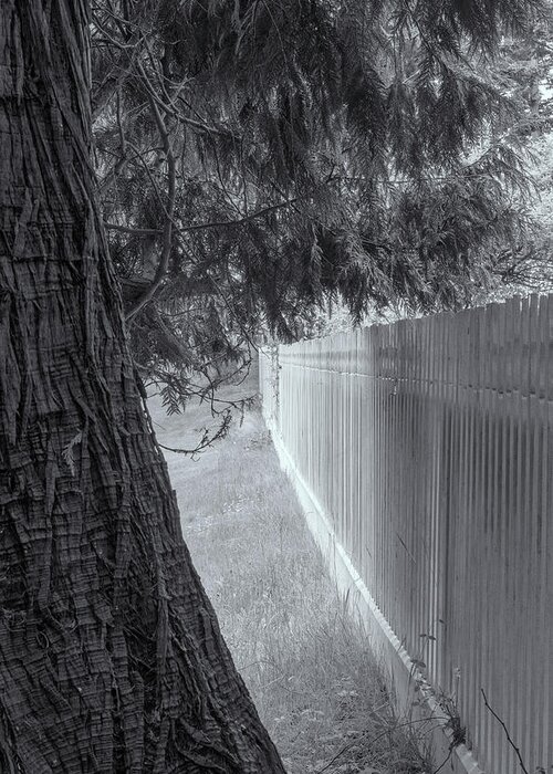 Oregon Coast Greeting Card featuring the photograph Fence In Black And White by Tom Singleton