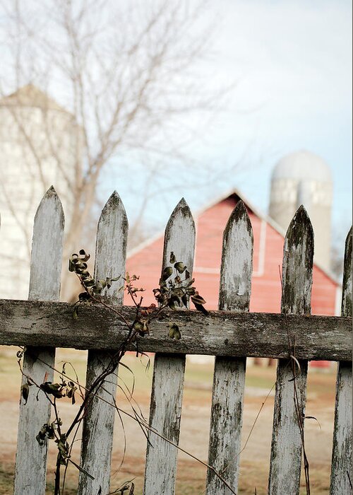 Picket Fence Greeting Card featuring the photograph Fenceline by Troy Stapek