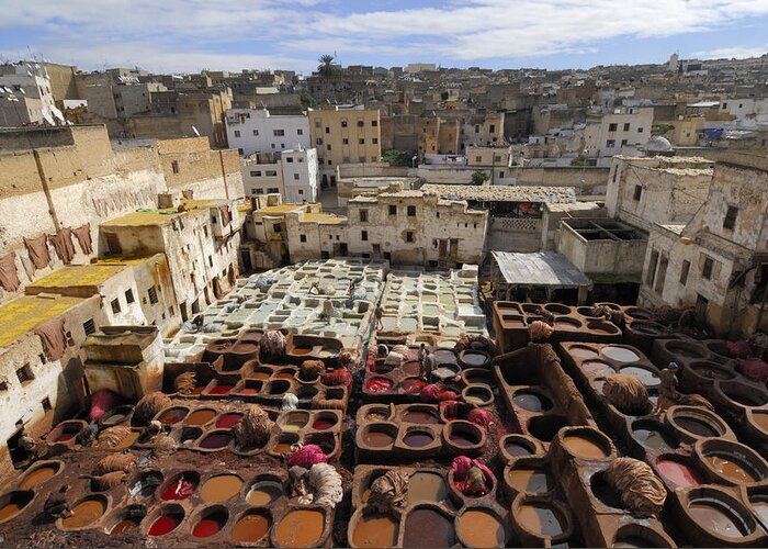 Morocco Greeting Card featuring the photograph Fez Morocco by Liz Pinchen
