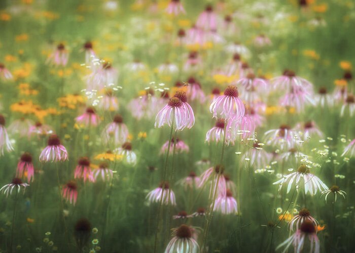 Greeting Card featuring the photograph Field of Coneflowers 5x6 by James Barber