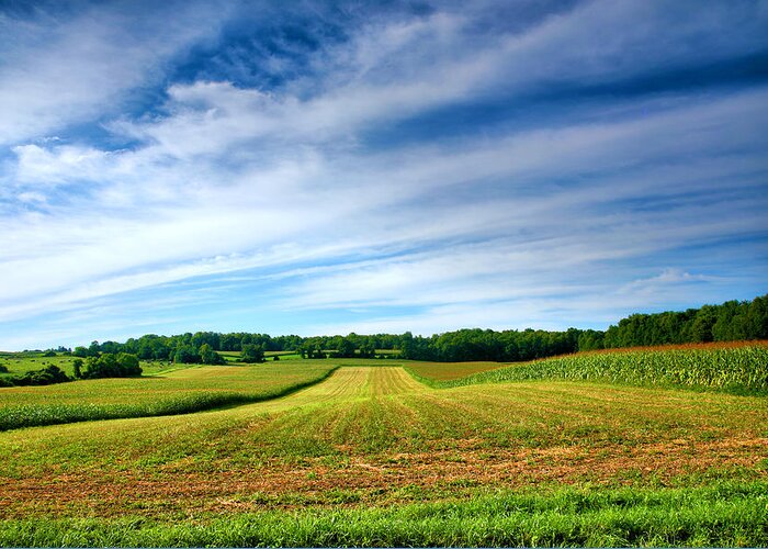 Field Greeting Card featuring the photograph Field of Dreams Two by Steven Ainsworth