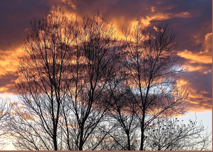 Sunset Greeting Card featuring the photograph Fine Lines 1 by Bonnie See