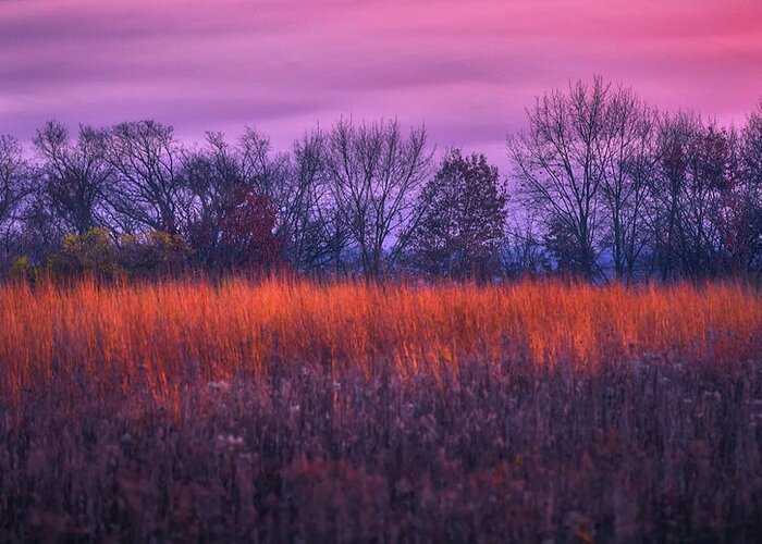 Wisconsin Landscape Greeting Card featuring the photograph Fire and Ice - Sunset and Prairie at Retzer Nature Center by Jennifer Rondinelli Reilly - Fine Art Photography