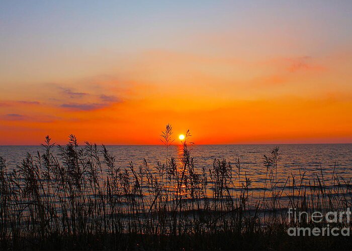 Sunset Greeting Card featuring the photograph Fireball Sunset on Bluewater Beach by Nina Silver