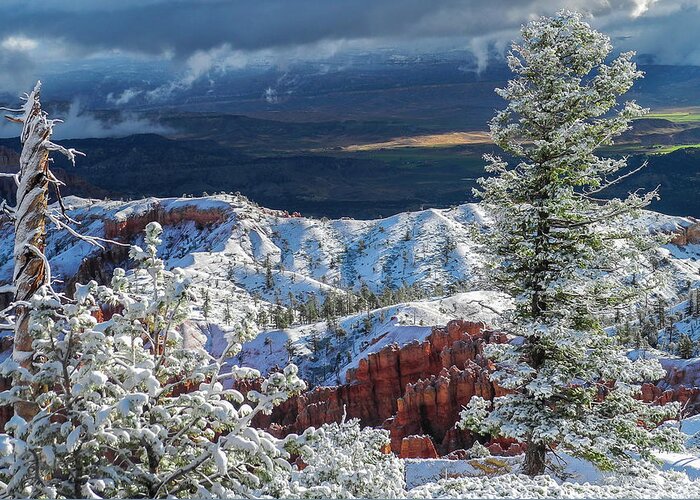 Bryce Canyon Greeting Card featuring the photograph First Snow by John Roach