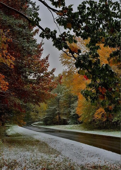 Seasons Greeting Card featuring the photograph First Snowfall by Dani McEvoy