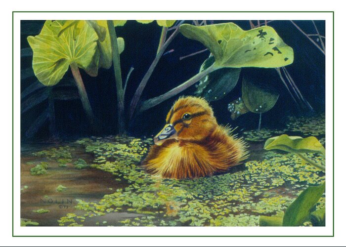 Duckling Greeting Card featuring the painting First Spring - Mallard Duckling by Bob Nolin