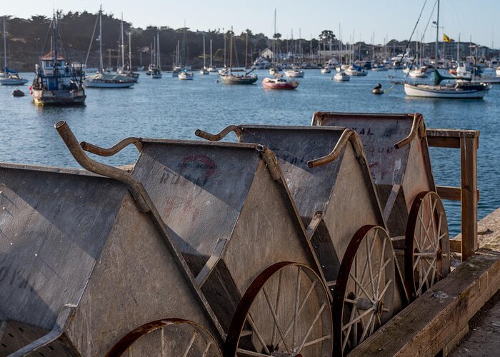Monterey Greeting Card featuring the photograph Fish Barrels by Derek Dean
