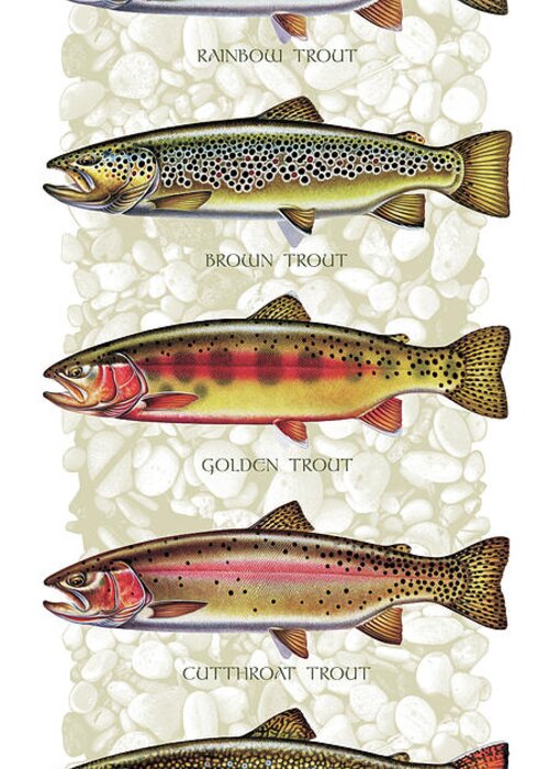 Five Trout Panel Greeting Card featuring the painting Five Trout Panel by JQ Licensing