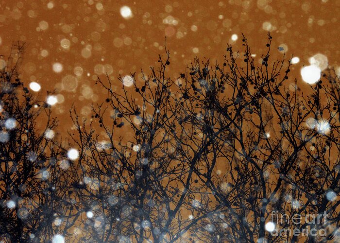 Snowflakes Greeting Card featuring the photograph Flakes in the Dark by Onedayoneimage Photography