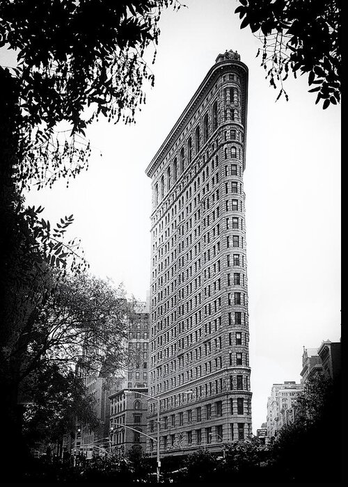 Building Greeting Card featuring the photograph Flatiron Noir by Jessica Jenney