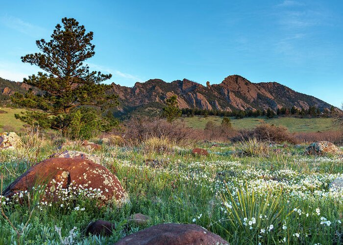 Flatirons Greeting Card featuring the photograph Flatirons Sunrise by Philip Rodgers