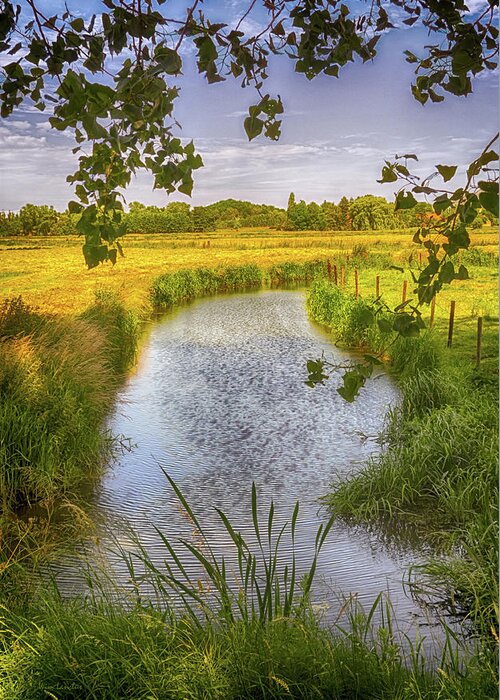 Creek Greeting Card featuring the photograph Flemish Creek by Wim Lanclus