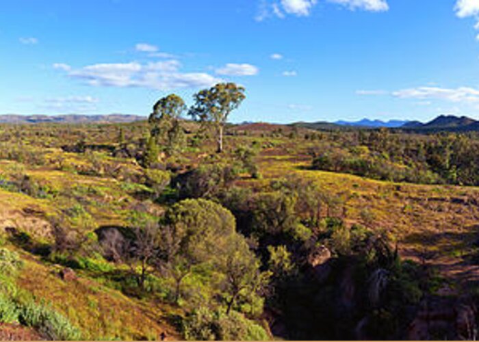 Flinders Ranges Wilpena Pound South Australia Australian Landscape Landscapes Outback Greeting Card featuring the photograph Flinders Ranges by Bill Robinson