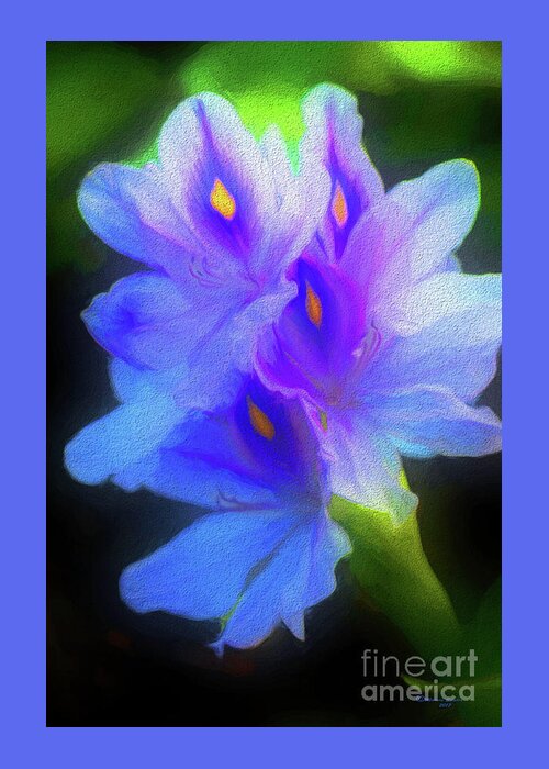 Hyacinth Greeting Card featuring the photograph Floating Amazement by Marvin Spates