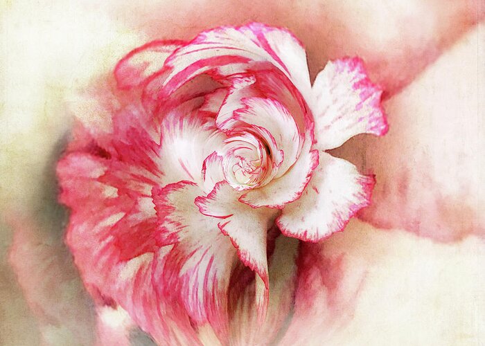 Floral Art Greeting Card featuring the photograph Floral Fantasy 2 by Usha Peddamatham