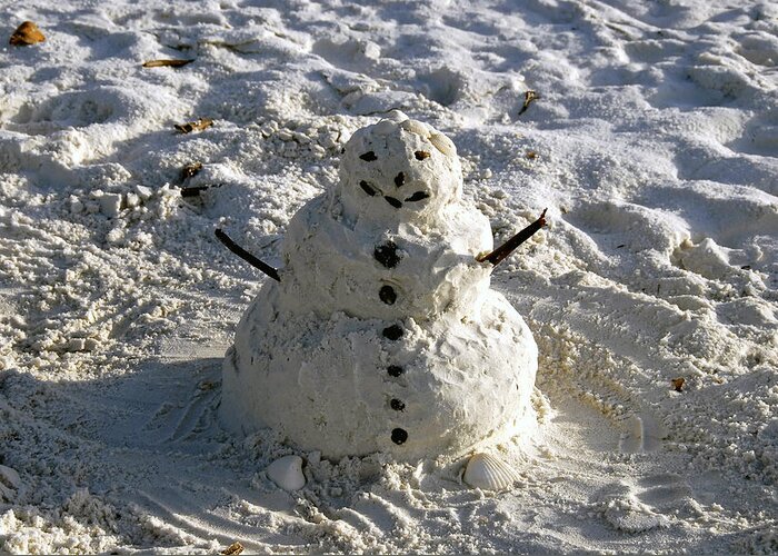 Snowman Greeting Card featuring the photograph Florida snowman by David Lee Thompson