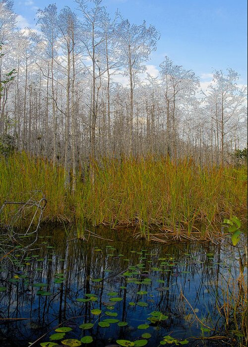 Florida Greeting Card featuring the painting Florida wilderness by David Lee Thompson
