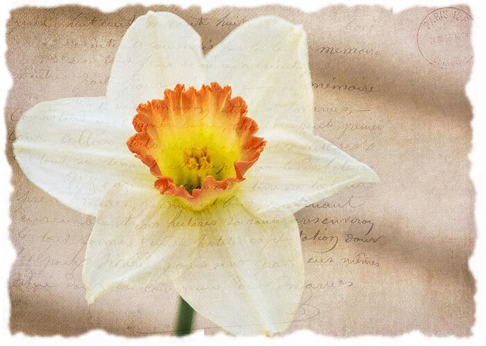 Flower Greeting Card featuring the photograph Flower 0440 by Cathy Kovarik