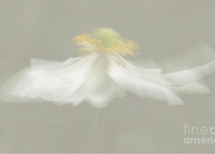 White Greeting Card featuring the photograph Flower Blur by Amanda Elwell